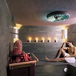 Hotel Rovanada Wellness & Bergnatur 4*
