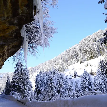 酒店 Rovanada Wellness & Bergnatur 4*