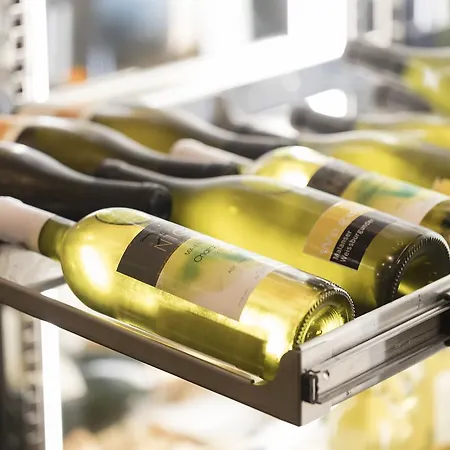 Rovanada Wellness & Bergnatur 酒店 4*