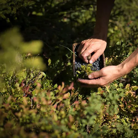 Rovanada Wellness & Bergnatur Hotel