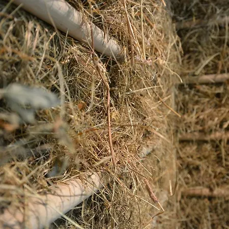 Rovanada Wellness & Bergnatur 酒店