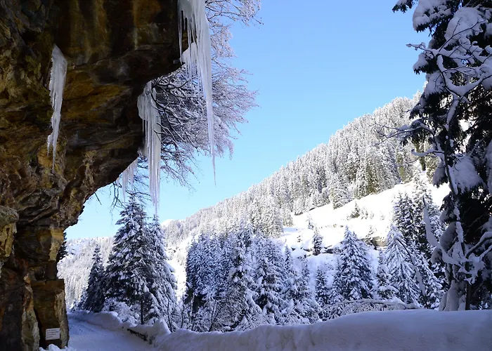 Hotel Rovanada Wellness & Bergnatur 4*