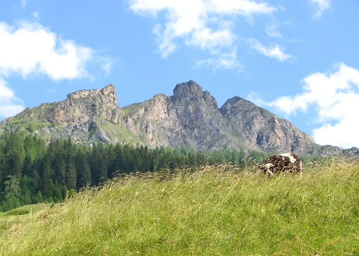 Rovanada Wellness & Bergnatur Hotel 4*