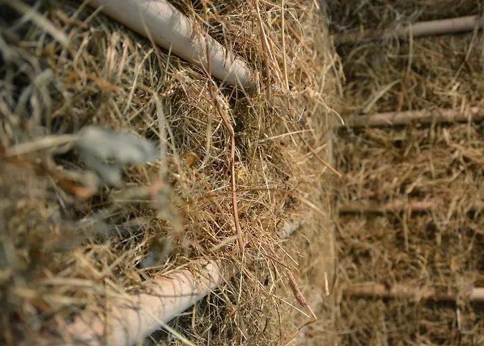 Rovanada Wellness & Bergnatur Hotel