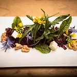 Rovanada Wellness & Bergnatur 4* ולס