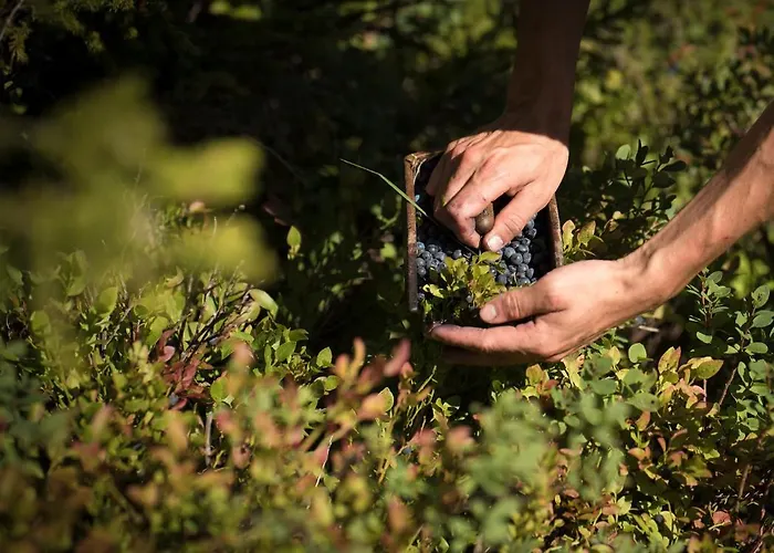 Rovanada Wellness & Bergnatur 호텔